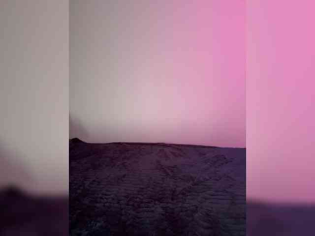 -Pandora- webcam