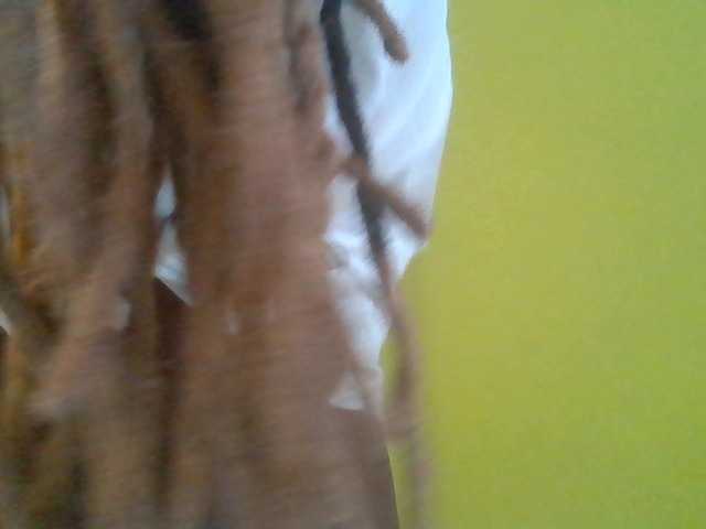 Sexyafricanah001 live cam on BongaCams