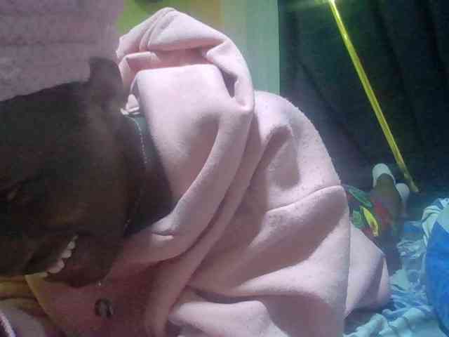 Sexyafricanah001 webcam