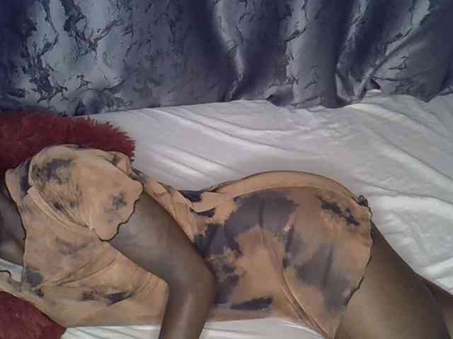 sexiesheea webcam