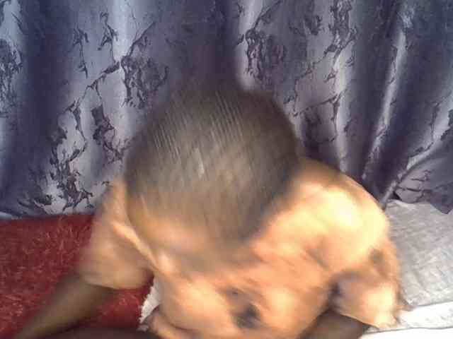 sexiesheea webcam