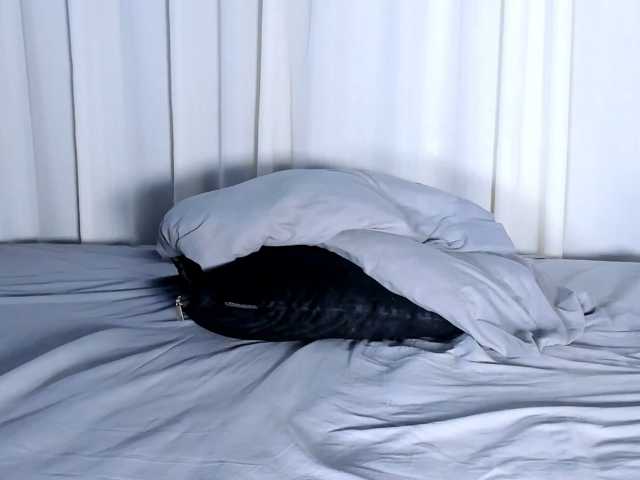 natyxo live cam