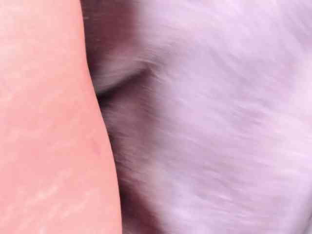 natyxo webcam