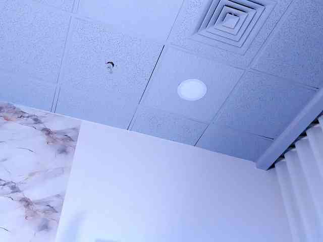 natyxo webcam
