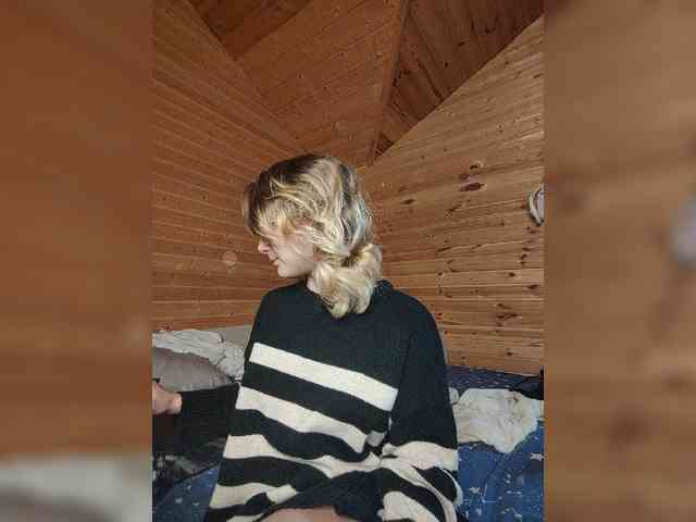 SilvaDevil webcam