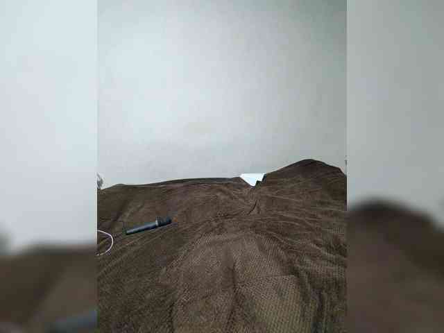 SilvaDevil webcam