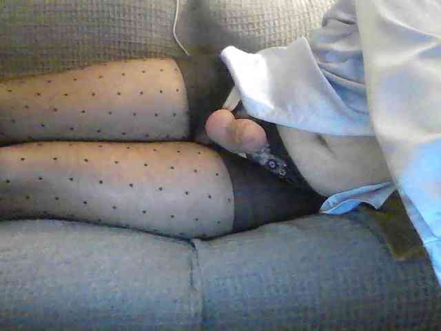 Kittynylon