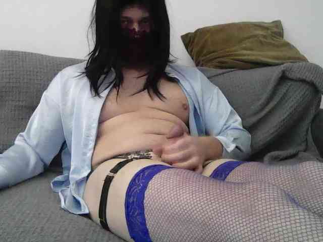 Kittynylon