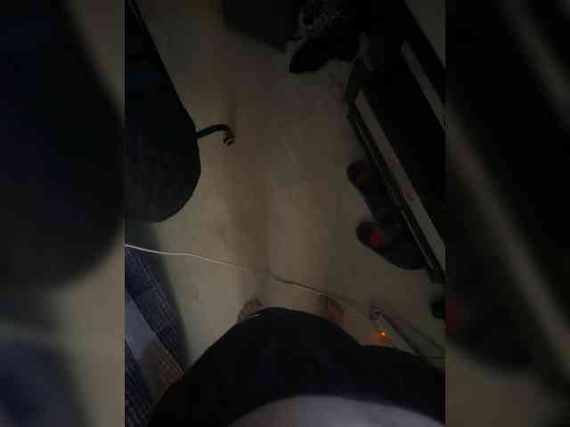 daryakotova001 webcam