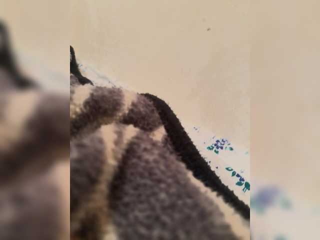 Mahir2332
