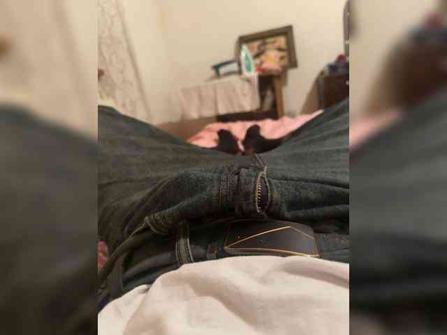 Mahir2332 Mahir2332