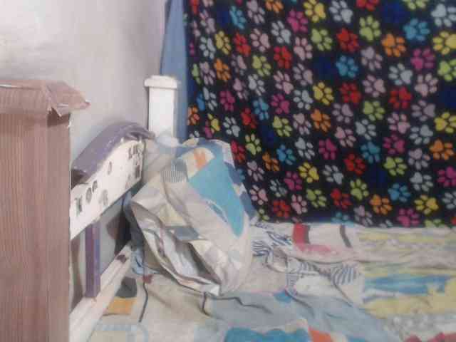 Elizabeth-a webcam