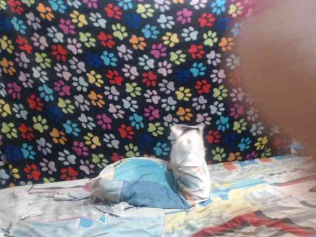 Elizabeth-a webcam