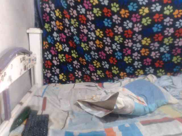 Elizabeth-a webcam