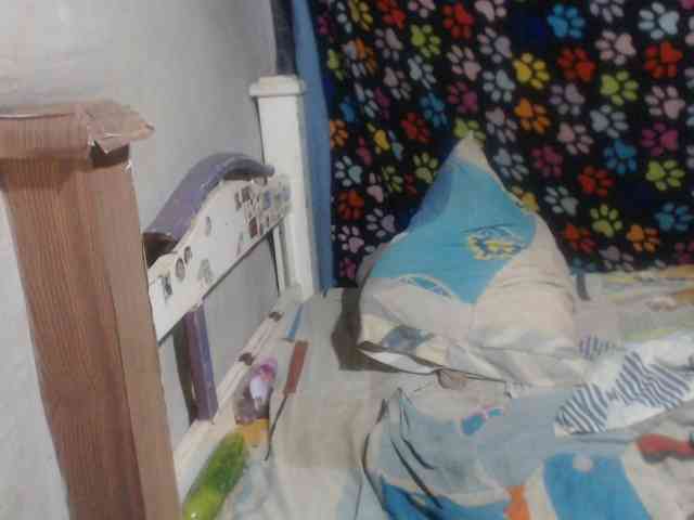 Elizabeth-a webcam