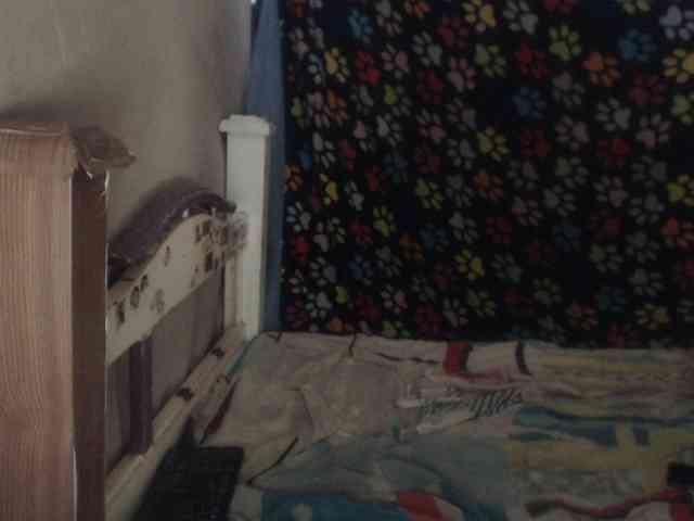 Elizabeth-a webcam