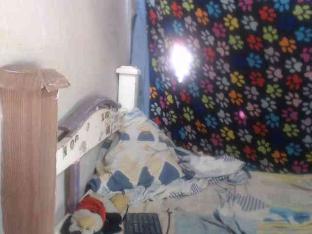 Elizabeth-a webcam