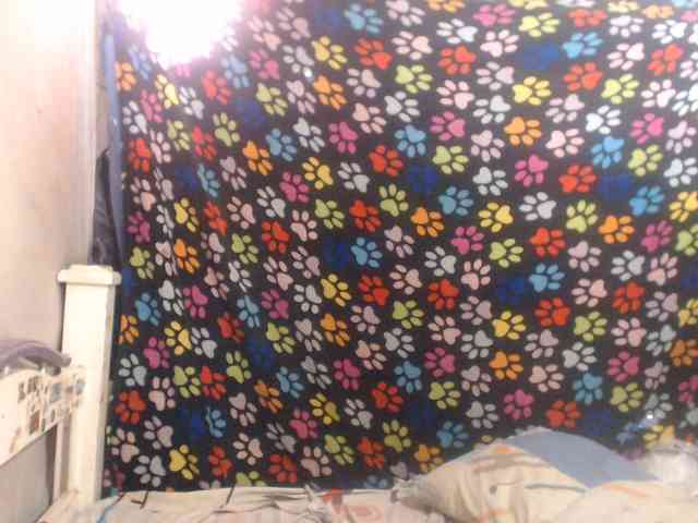 Elizabeth-a webcam