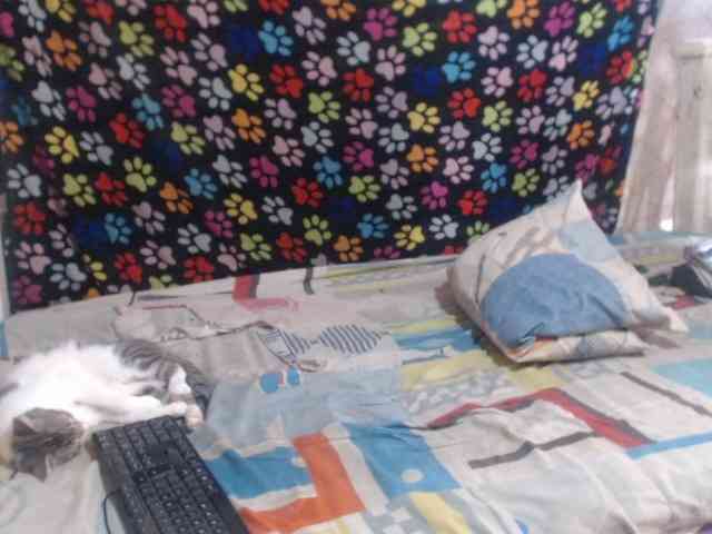 Elizabeth-a webcam
