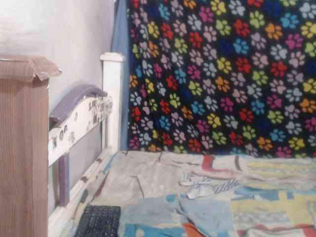Elizabeth-a webcam