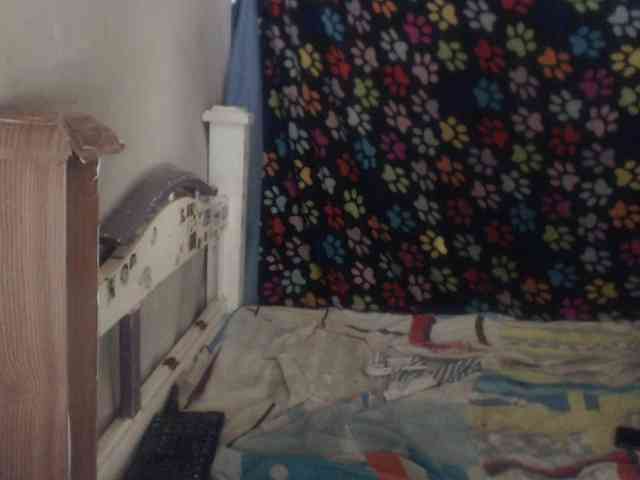 Elizabeth-a webcam