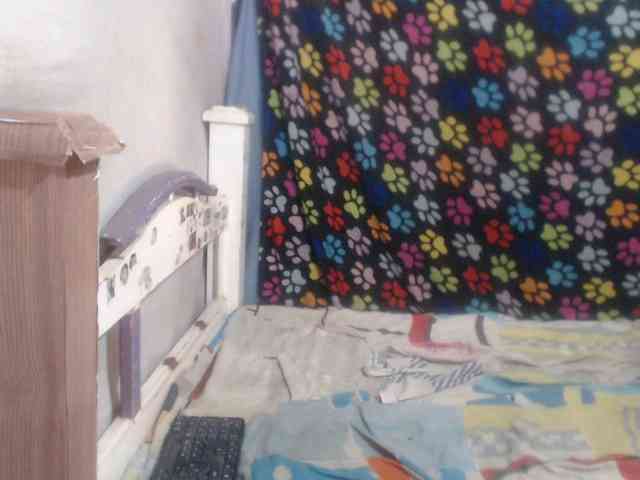 Elizabeth-a webcam
