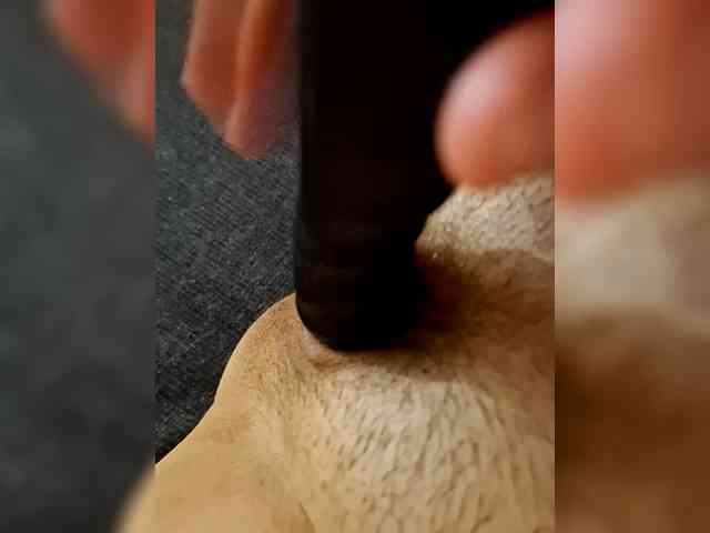 secretlovers699 webcam