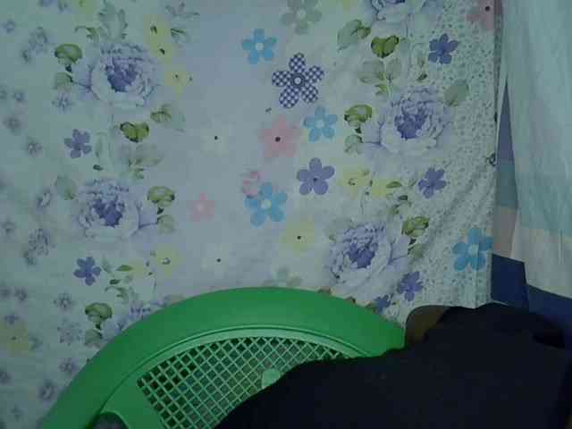 Momeny webcam