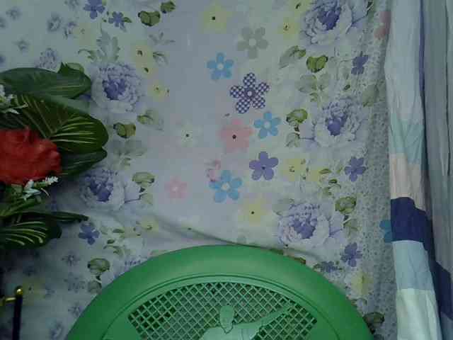 Momeny webcam