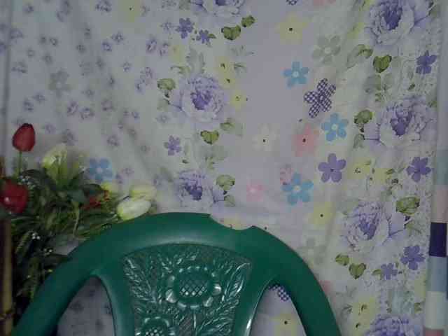 Momeny webcam