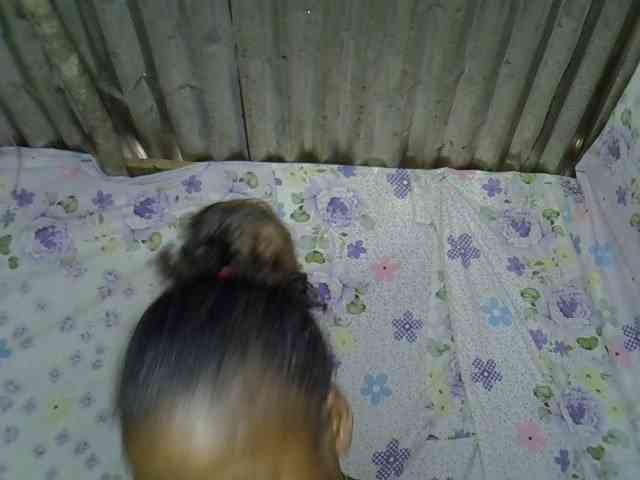 Momeny webcam
