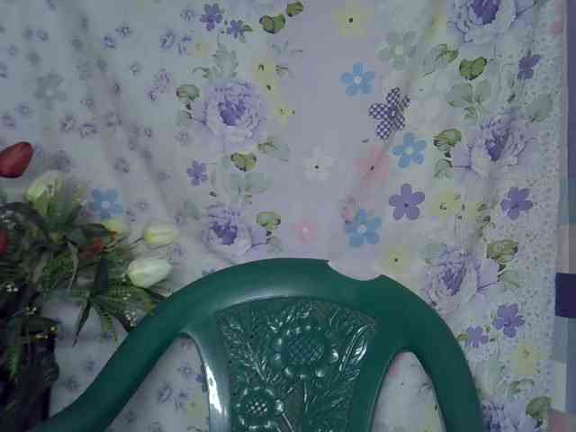 Momeny webcam