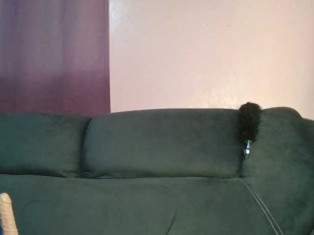 Sweetjoly live cam on BongaCams
