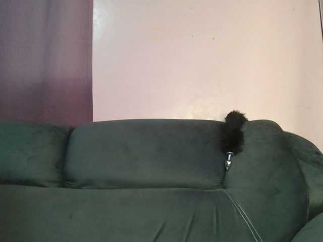 Sweetjoly live cam on BongaCams