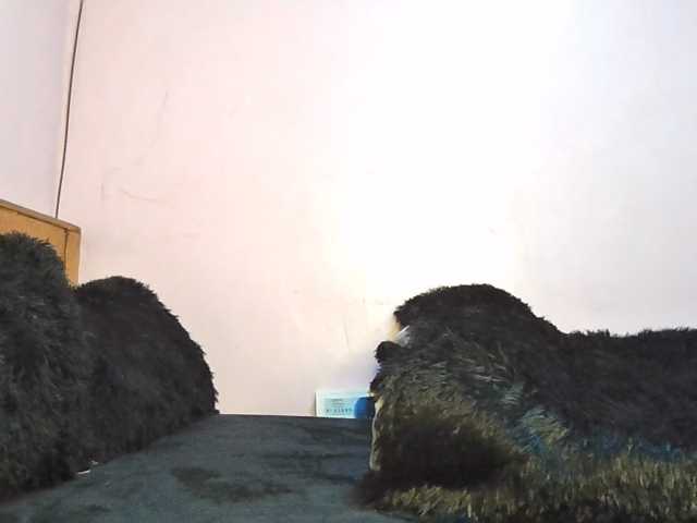 Sweetjoly live cam on BongaCams