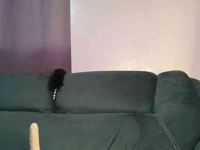 Smileybarb webcam