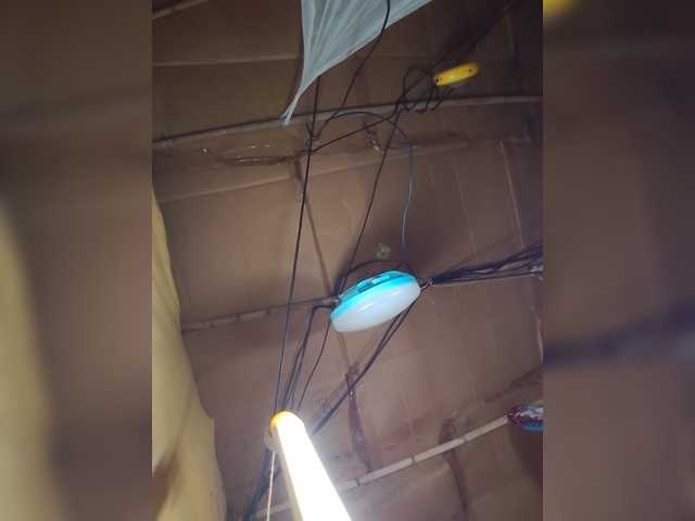 Jijikwella live cam on BongaCams