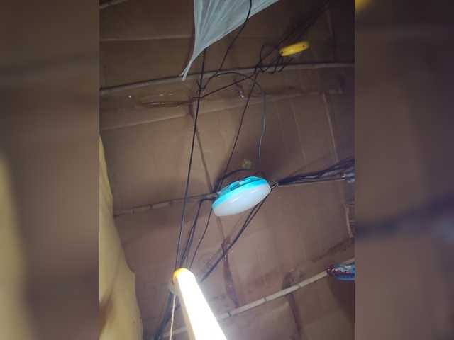 Jijikwella live cam on BongaCams