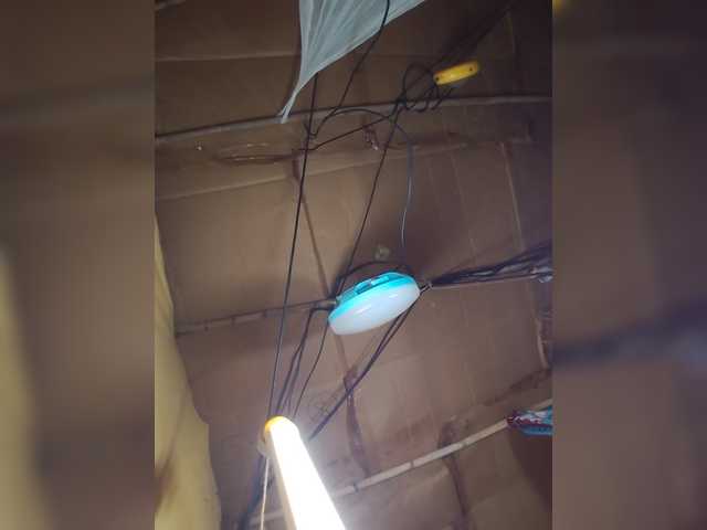 Jijikwella live cam on BongaCams