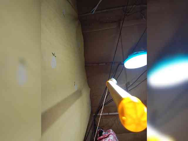 Jijikwella webcam