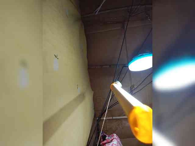 Jijikwella webcam