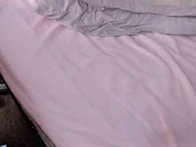 FloraAmbers webcam