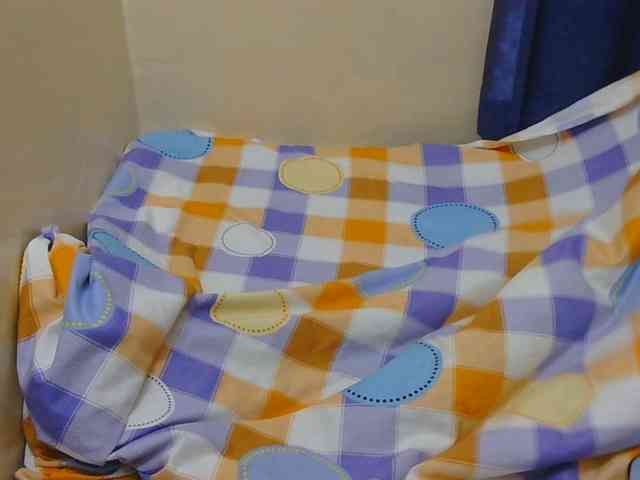Prettytee webcam