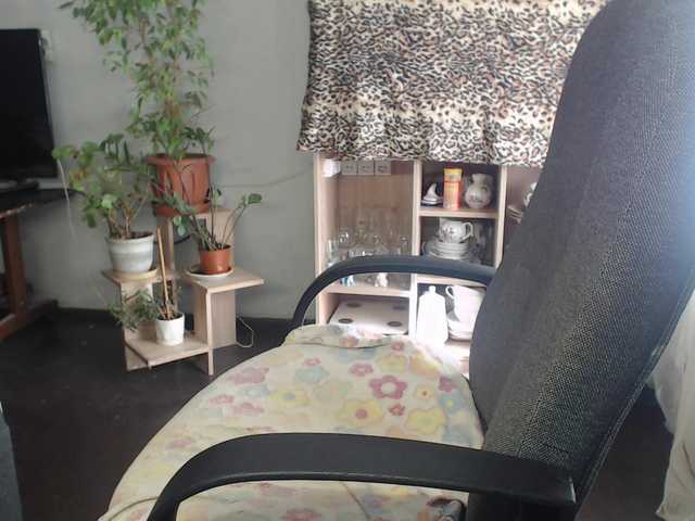 romashka1211 live webcam show