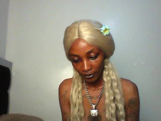 Veegee's Live Webcam