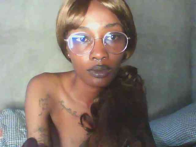 Veegee webcam