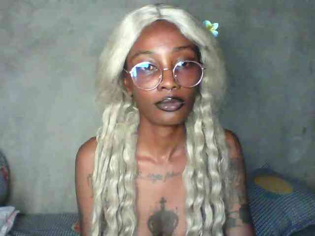 Veegee webcam