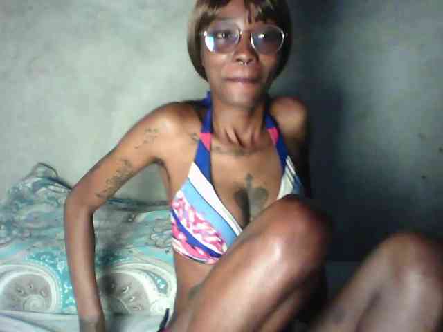 Veegee webcam