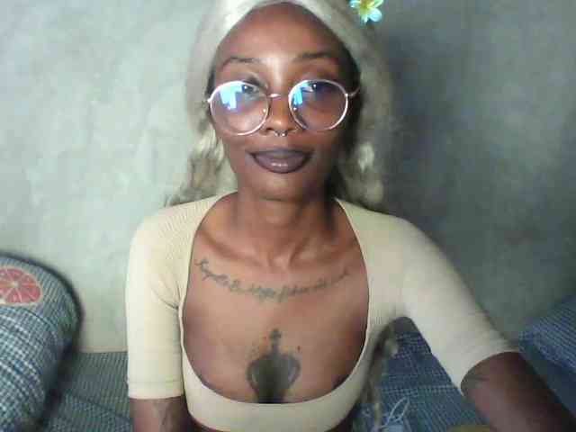 Veegee webcam