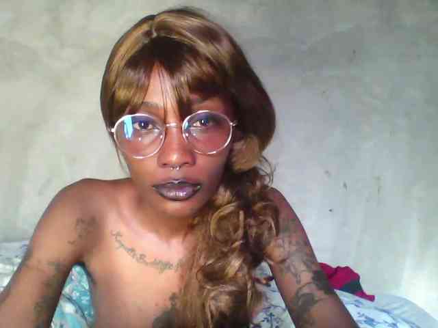 Veegee webcam